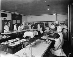 Where do biomedical university courses lead to?
