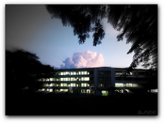 what are general education courses in college?