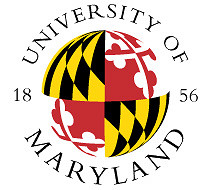 What kind of mathematical skills are usally requested by university courses?
